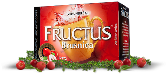 Slika FRUCTUS BRUSNICA 51% filter 44g