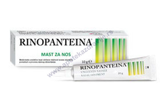 Slika RINOPANTEINA MAST ZA NOS 10g