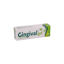 Picture of GINGIVAL C gel 15g