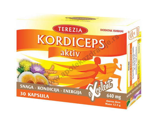 Slika KORDICEPS AKTIV 30 caps.